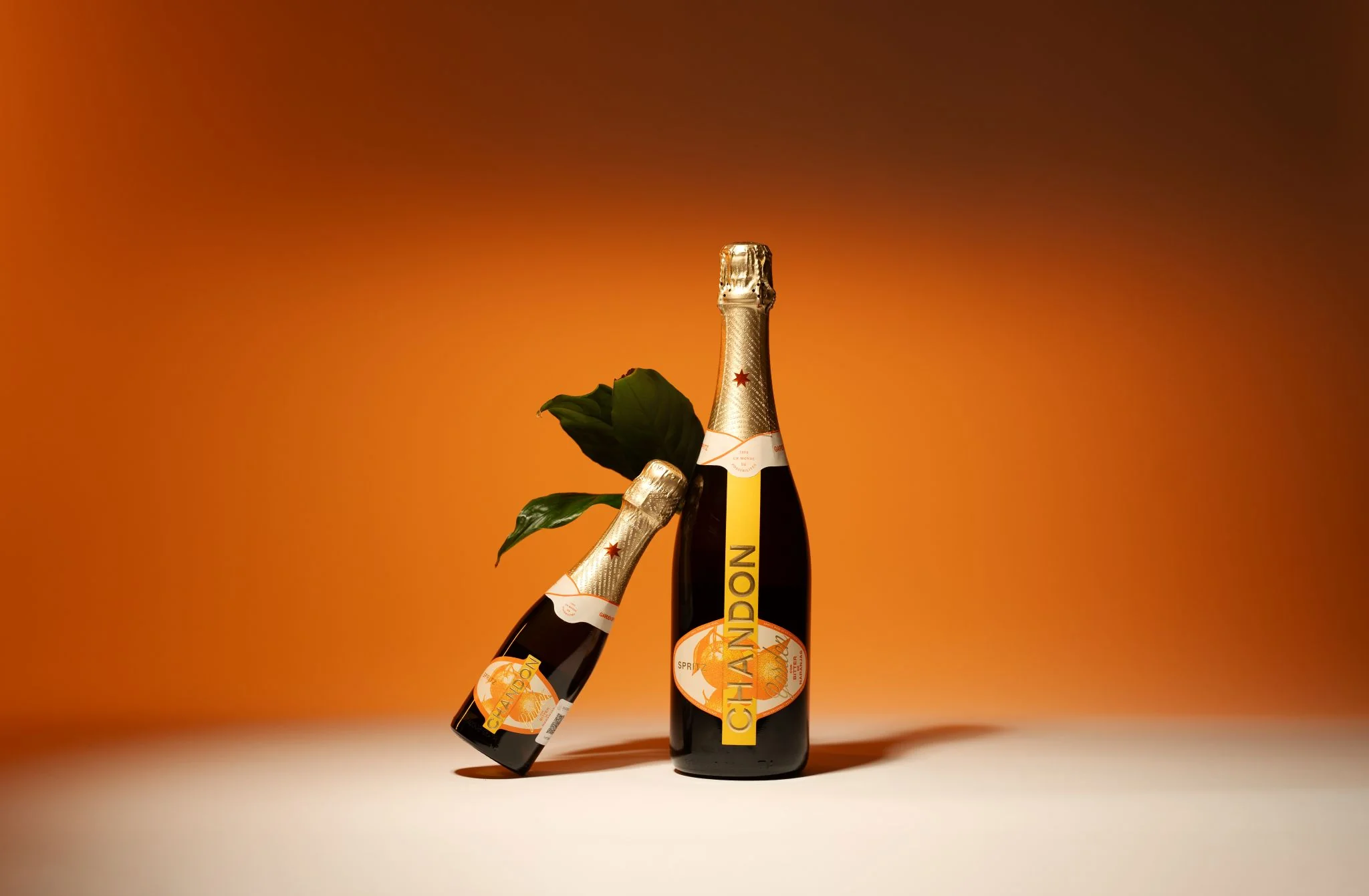 Brindis perfectos en tu puerta