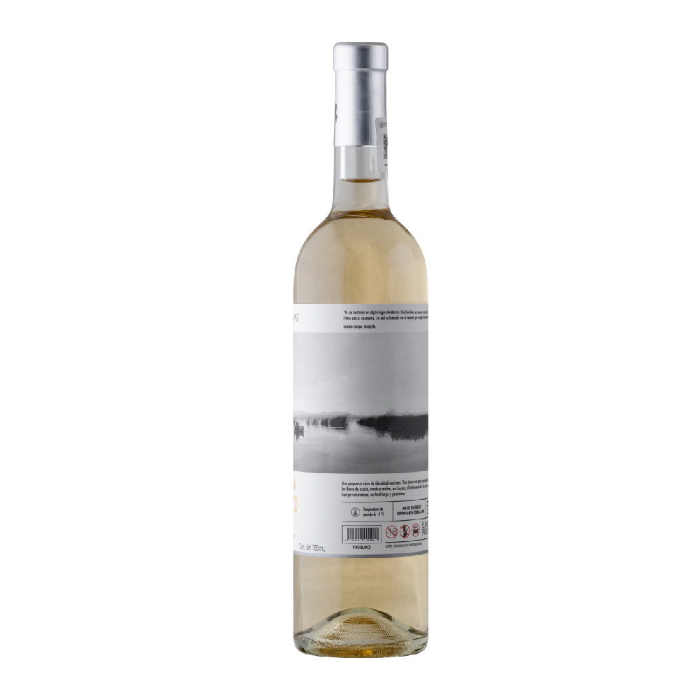 VINO BLANCO SANTO TOMAS BLANCA MEXICO 750ML - Image 2