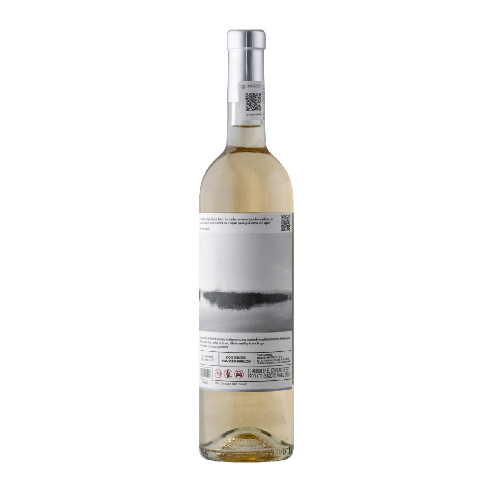 VINO BLANCO SANTO TOMAS BLANCA MEXICO 750ML - Image 3