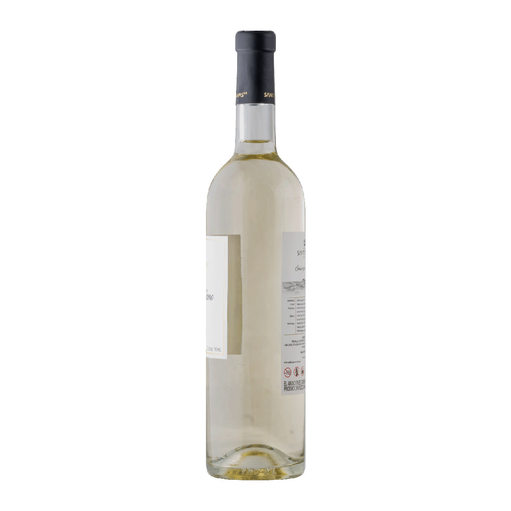 VINO BLANCO SANTO TOMAS SAUVIGNON BLANC 750ML - Image 2