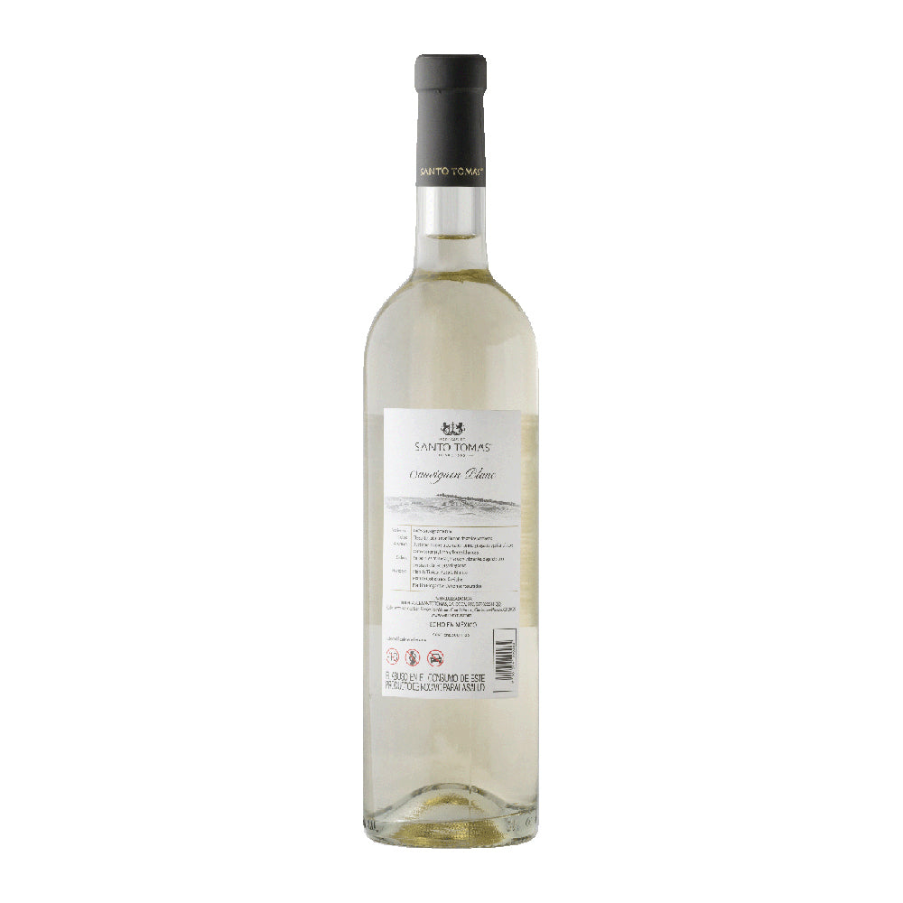 VINO BLANCO SANTO TOMAS SAUVIGNON BLANC 750ML - Image 3