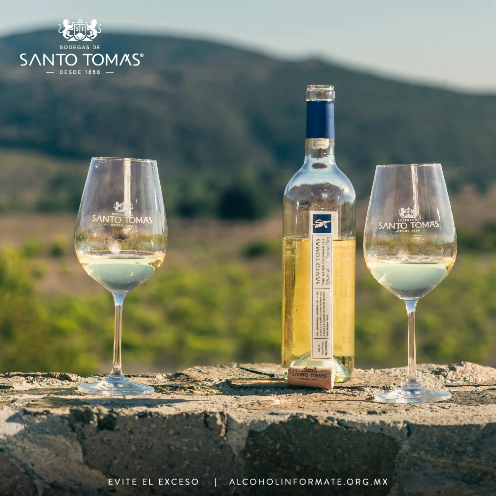 VINO BLANCO ST COLOMBARD SEMI DULCE SANTO TOMAS 750ML - Image 4