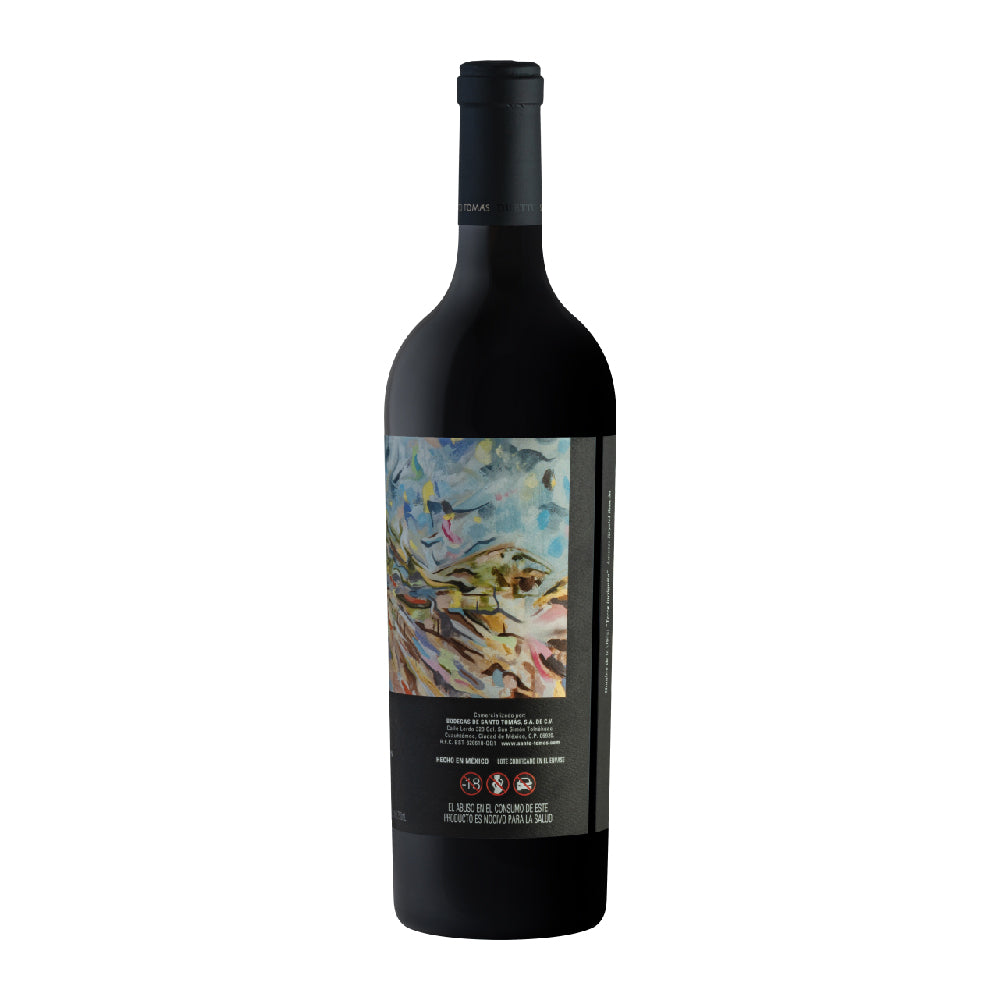 VINO TINTO DUETTO SANTO TOMAS 750ML - Image 2