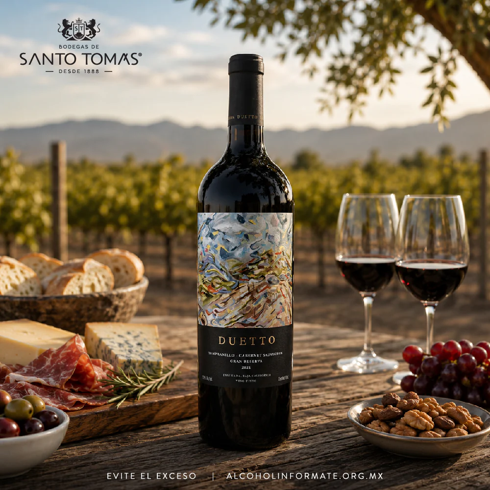 VINO TINTO DUETTO SANTO TOMAS 750ML - Image 4