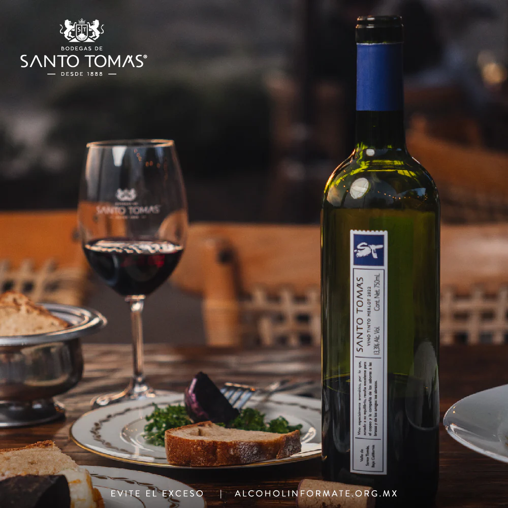 VINO TINTO ST MERLOT SANTO TOMAS 750ML - Image 4