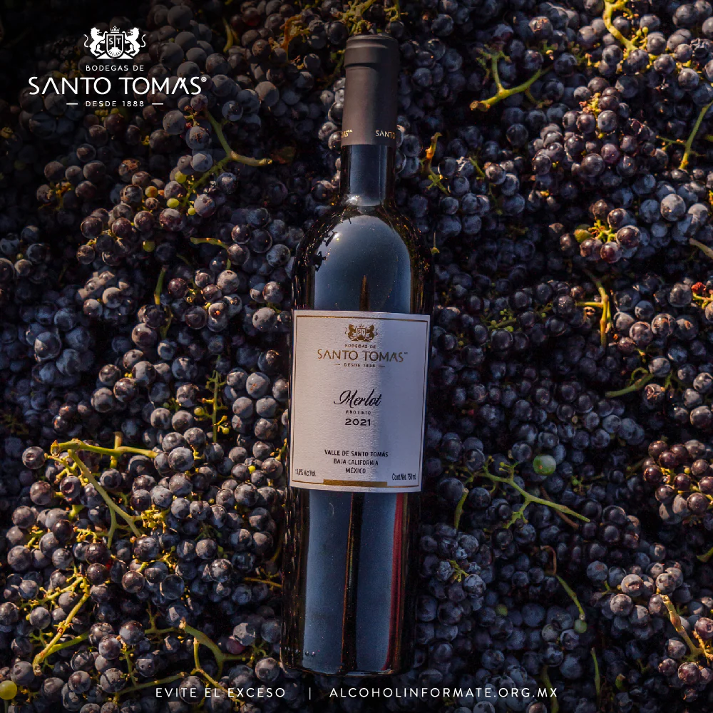 VINO TINTO SANTO TOMAS MERLOT 750ML - Image 4